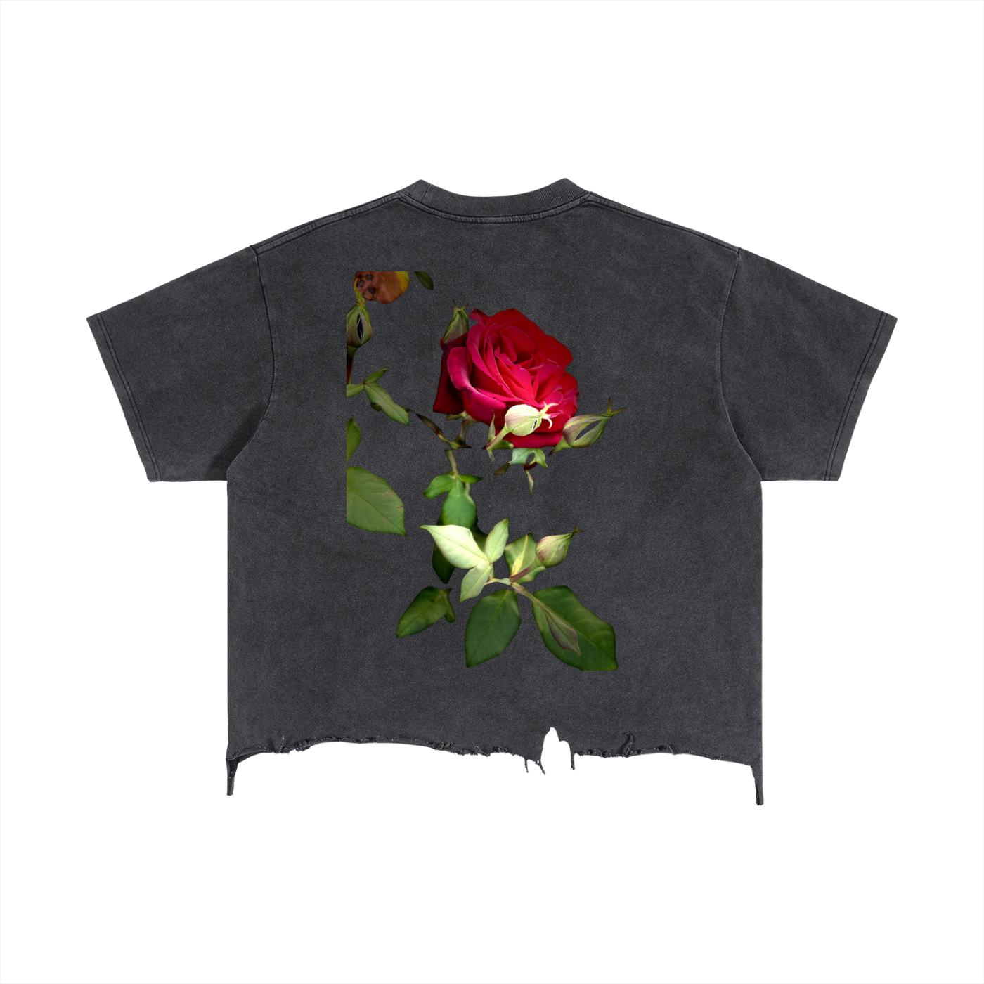 ‘Rose & Thorn’ Vintage Wash Boxy Distressed Hem T-Shirt